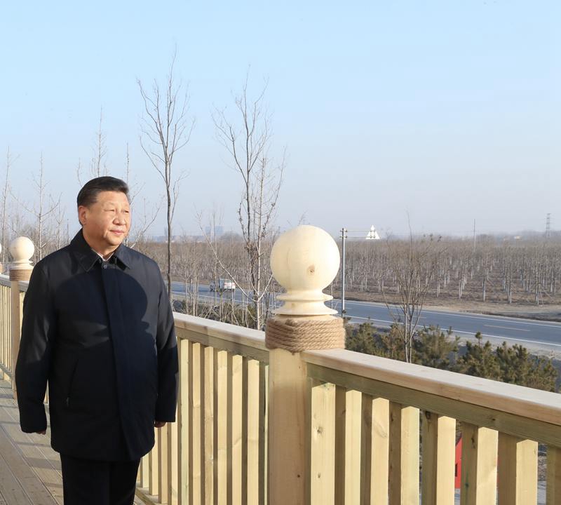 97国偷资产短视频入口